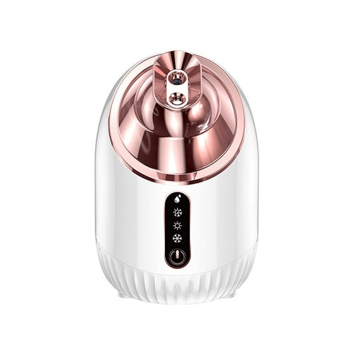 Nano Double Spray Facial Steamer