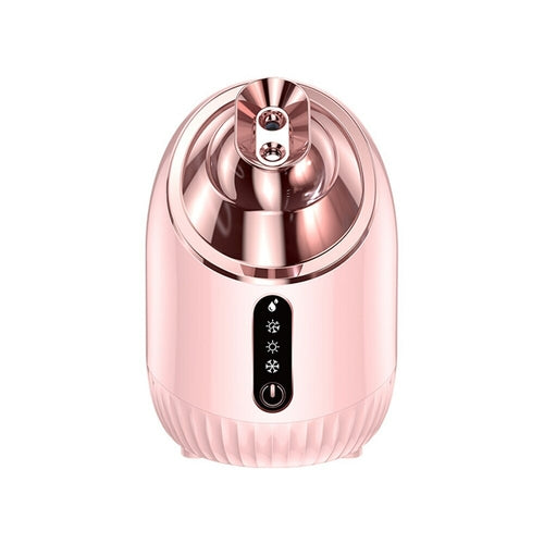 Nano Double Spray Facial Steamer